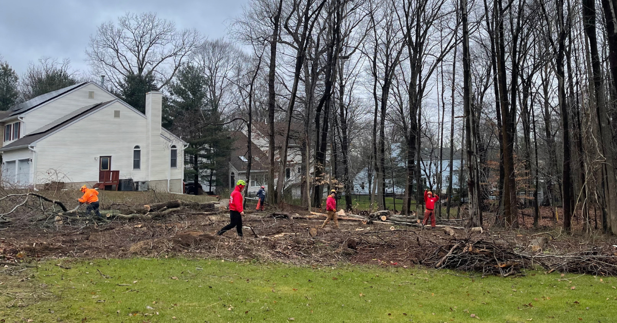 Jireh Landscaping & Tree Service clearing a residential building lot in Central New Jersey