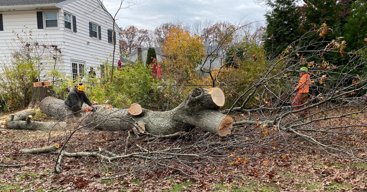 Jireh Landscaping & Tree Service crew responding to a fallen tree emergency in Central New Jersey