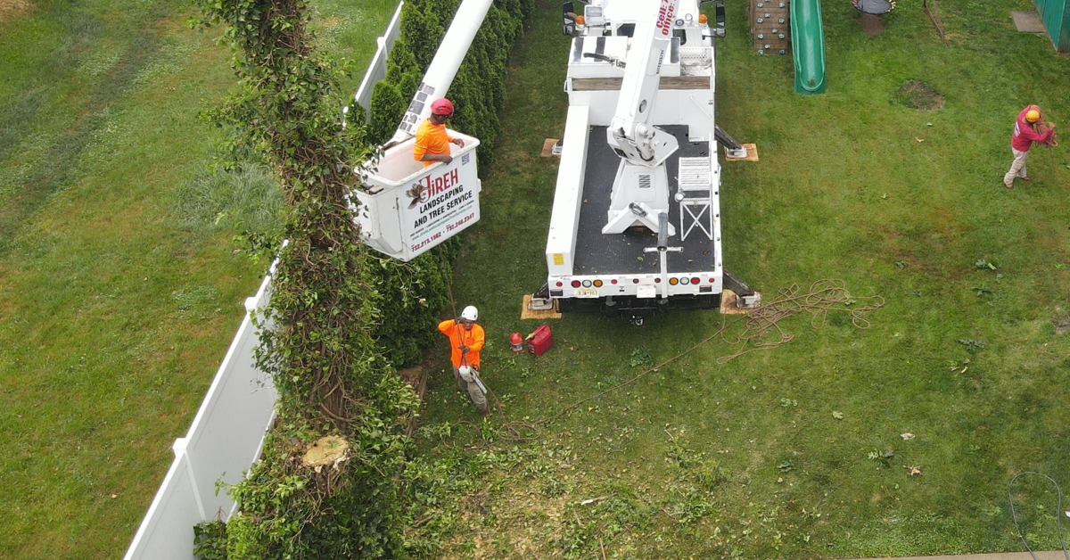Jireh Landscaping & Tree Service crew trimming overgrown shrubs at a Central New Jersey home.