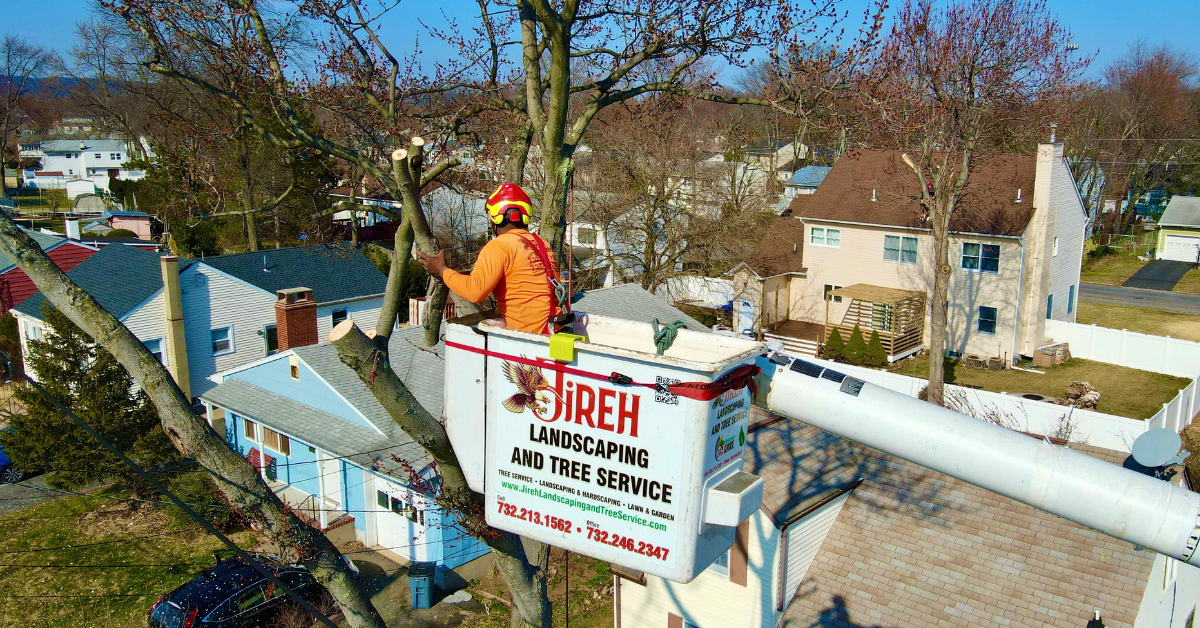 Jireh Landscaping & Tree Service crew trimming tree branches away from a power line in Central New Jersey
