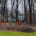 Land Clearing and Lot Clearing
