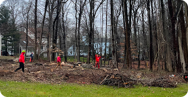 Land Clearing and Lot Clearing