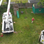 Shrub Removal and Trimming
