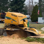 Stump Removal and Grinding