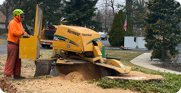 Stump Removal and Grinding