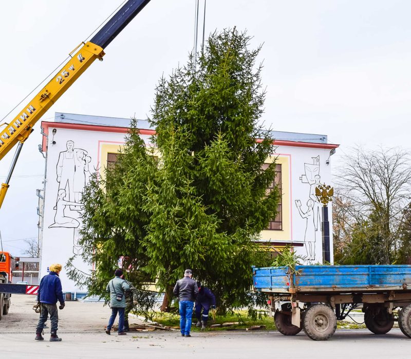 dismantling-christmas-tree