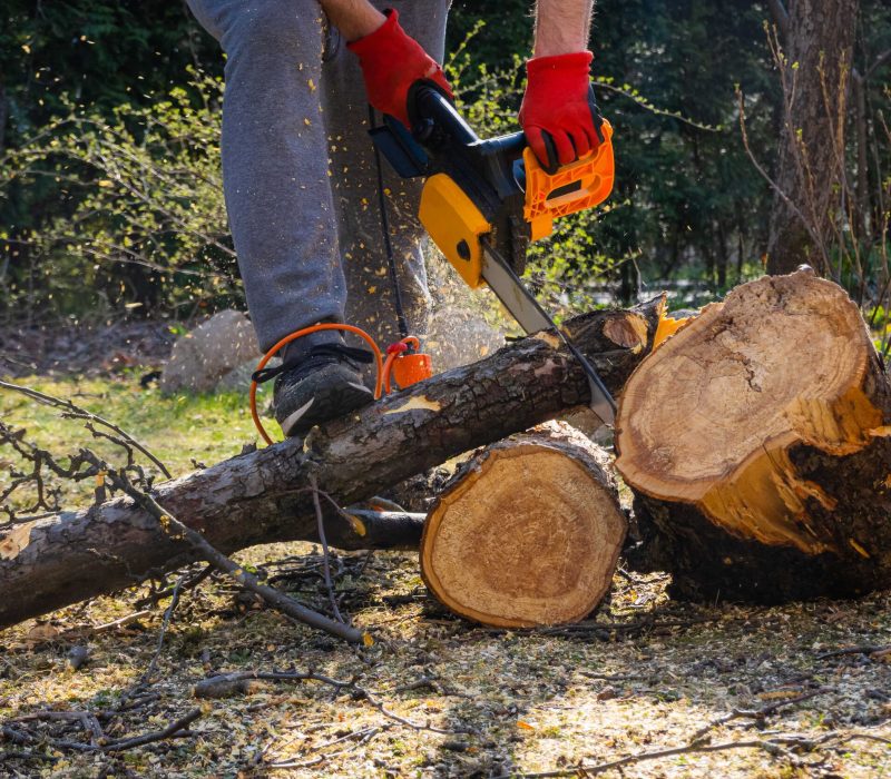 men-sawing-apple-tree-with-chainsaw-his-backyard